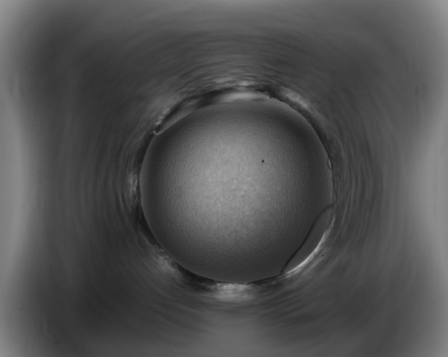 X0000086770192200704201812