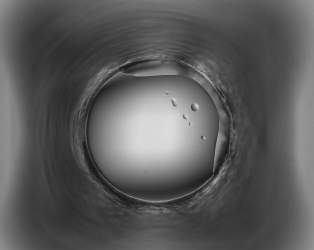 X0000086770193200704201811
