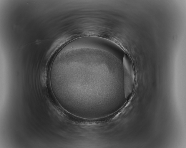 X0000086770194200704201811