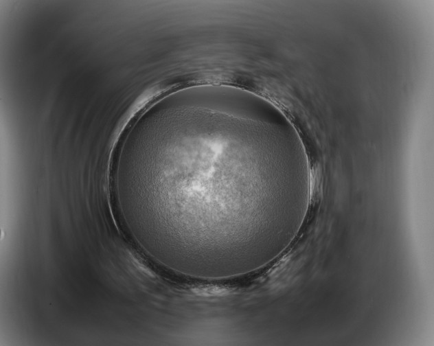X0000086770195200704201811
