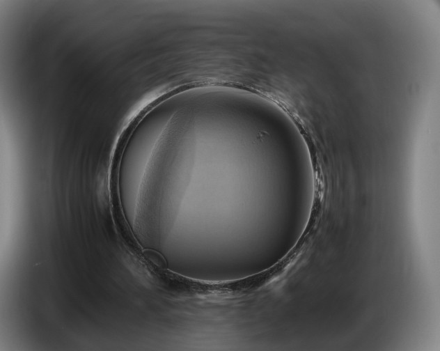 X0000086770196200704201811