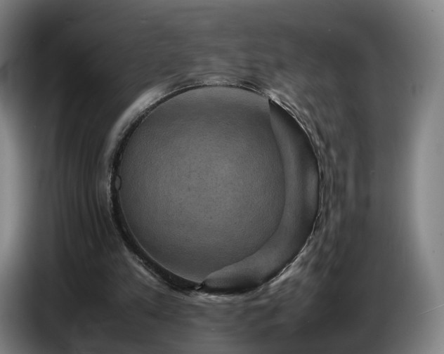 X0000086770197200704201811