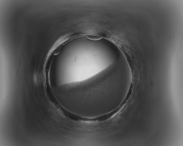X0000086770198200704201811