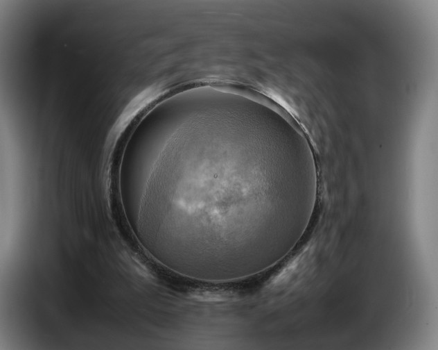 X0000086770199200704201811