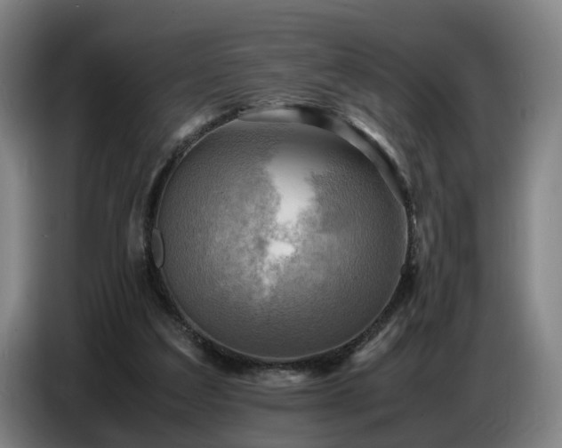 X0000086770203200704201811