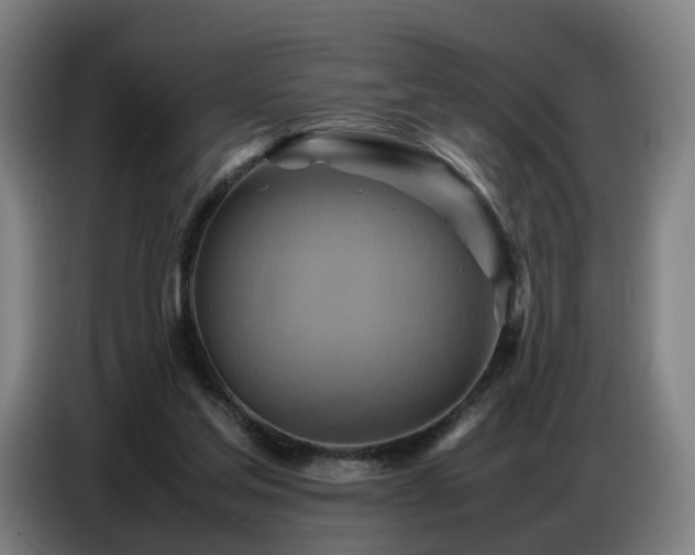 X0000086770205200704201811