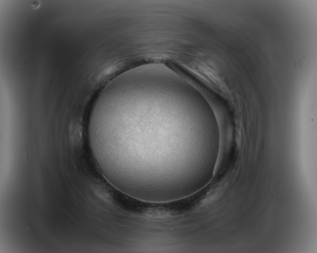 X0000086770207200704201811
