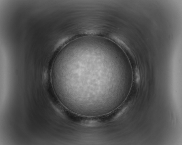 X0000086770208200704201811