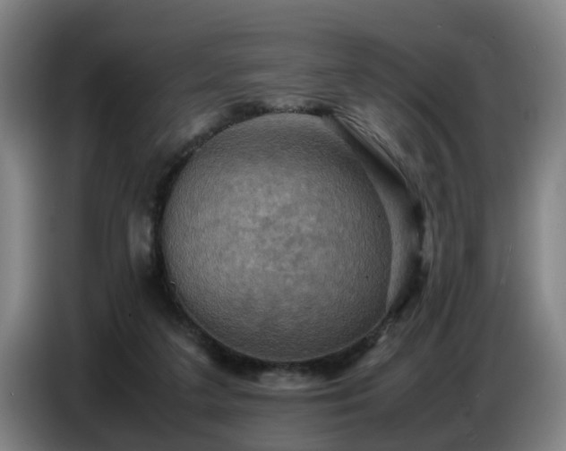 X0000086770211200704201811