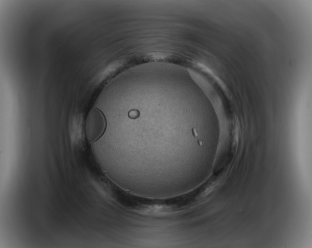X0000086770212200704201811