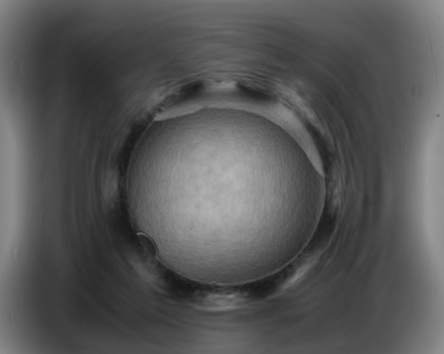 X0000086770213200704201811