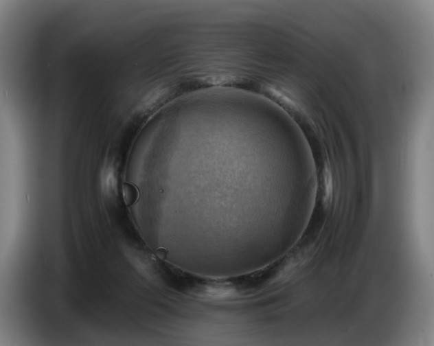 X0000086770214200704201811