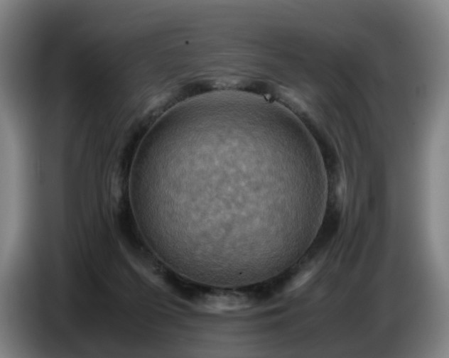 X0000086770215200704201811