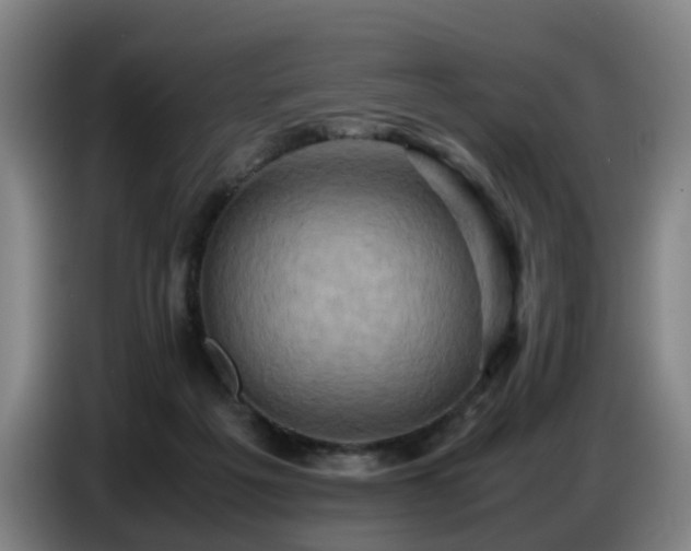 X0000086770217200704201811