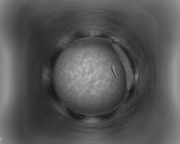 X0000086770218200704201811