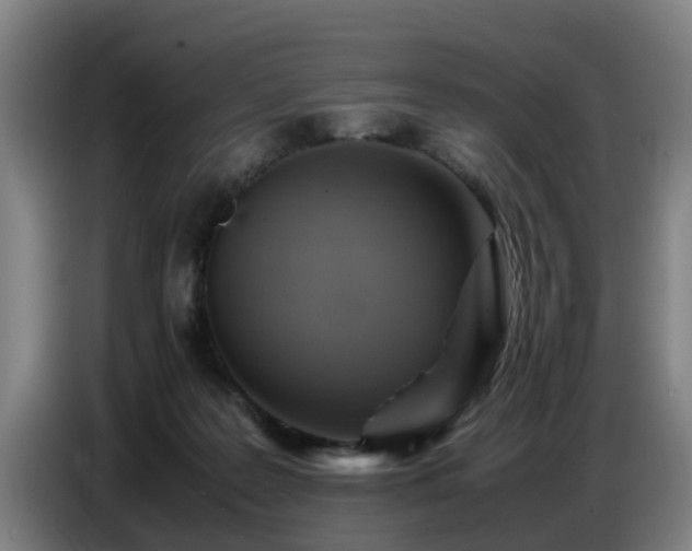 X0000086770219200704201811