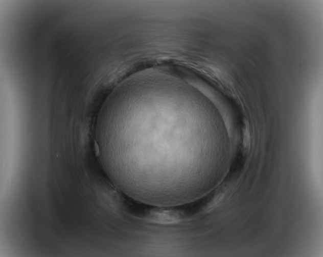 X0000086770221200704201811