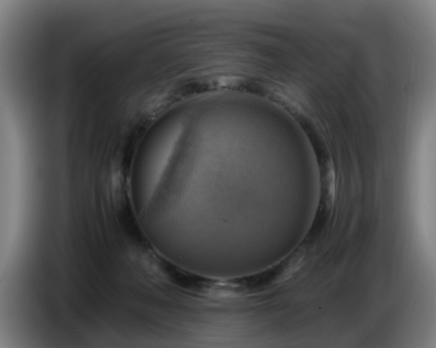 X0000086770222200704201811