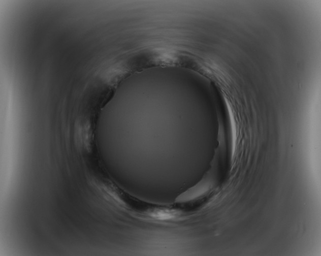 X0000086770223200704201811