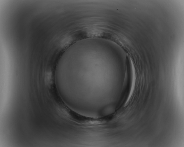 X0000086770224200704201811