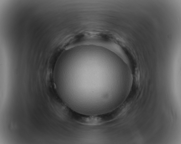 X0000086770225200704201811