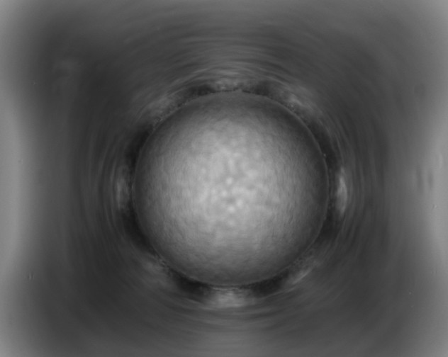 X0000086770226200704201811