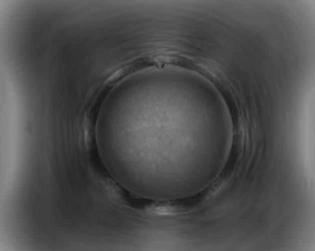 X0000086770228200704201811