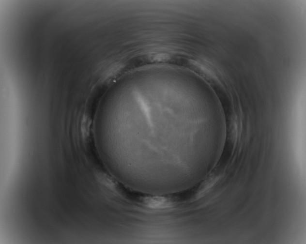 X0000086770230200704201811