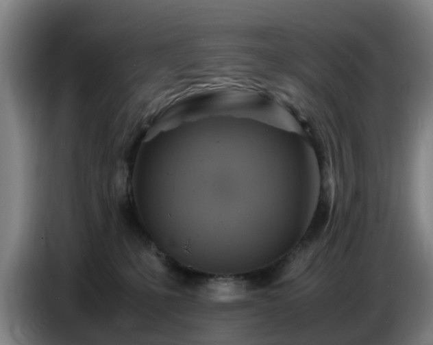 X0000086770231200704201811