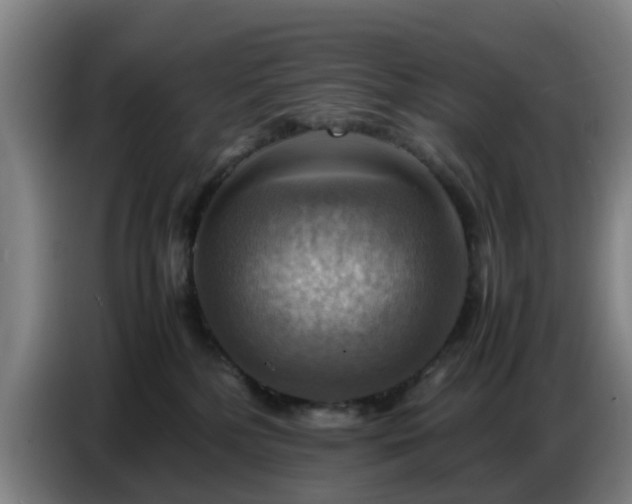 X0000086770232200704201811