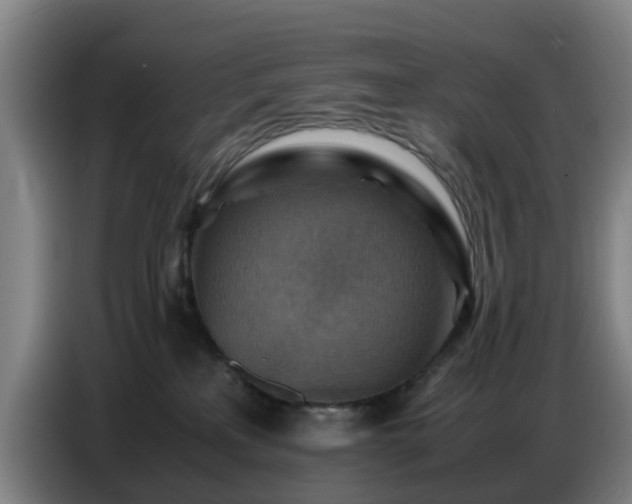 X0000086770233200704201811