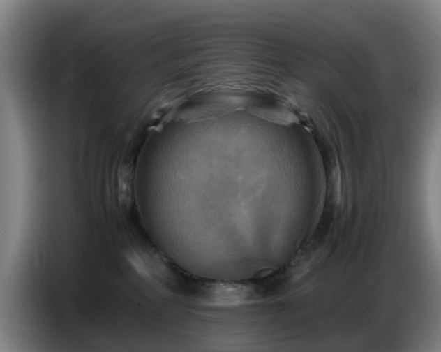 X0000086770234200704201811