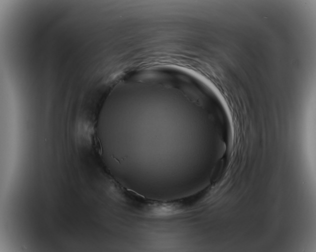 X0000086770235200704201811