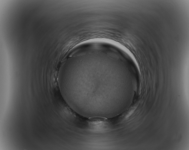 X0000086770237200704201811