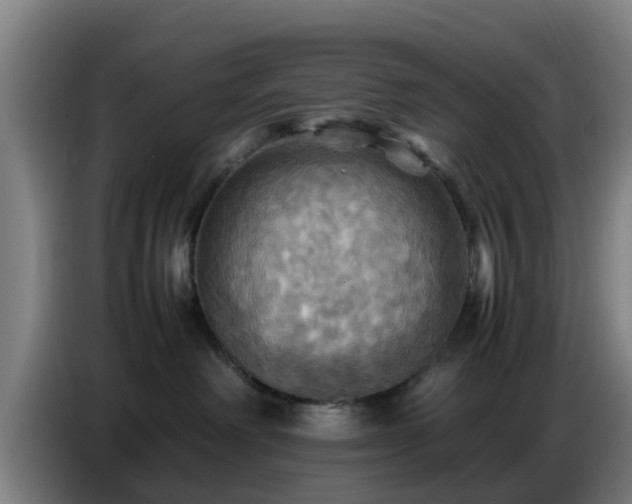 X0000086770238200704201811