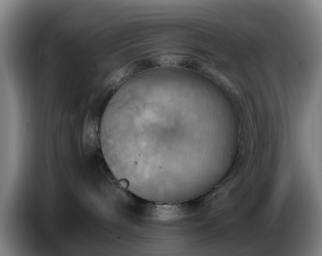 X0000086770240200704201810
