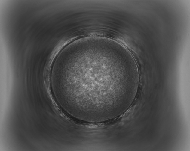 X0000086770241200704201810