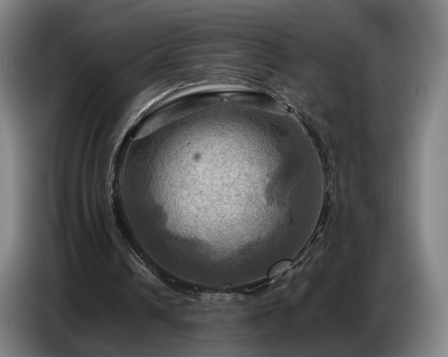 X0000086770242200704201810