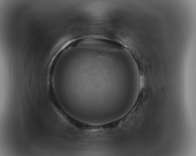 X0000086770243200704201810