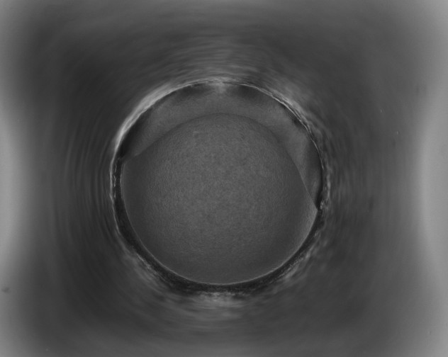 X0000086770244200704201810