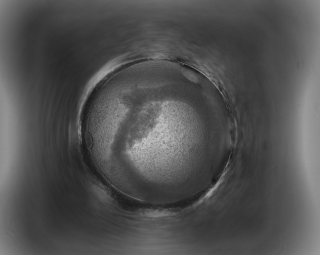 X0000086770246200704201810