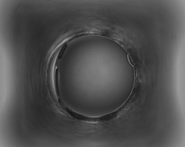 X0000086770247200704201810