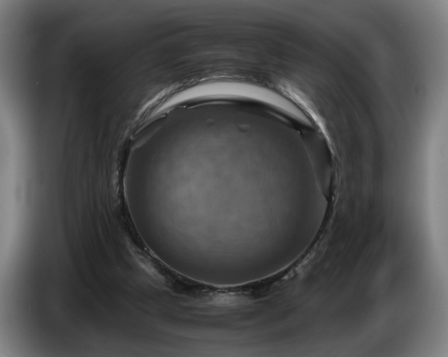 X0000086770249200704201810