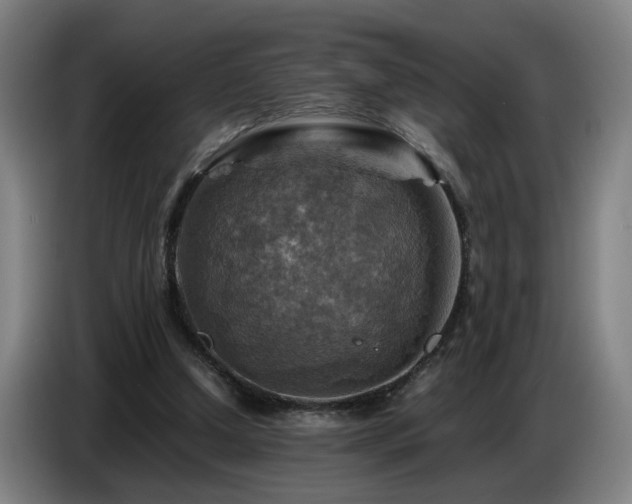 X0000086770250200704201810