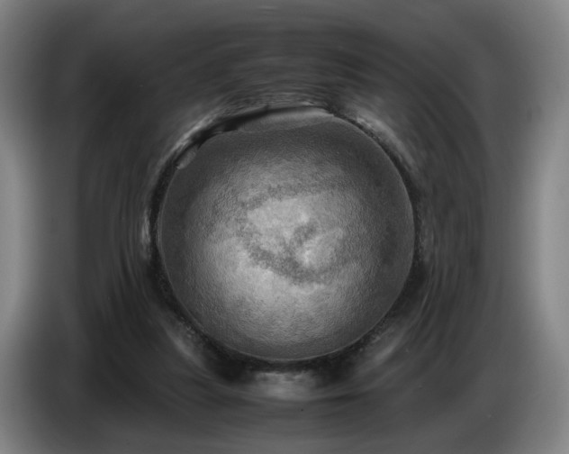 X0000086770251200704201810