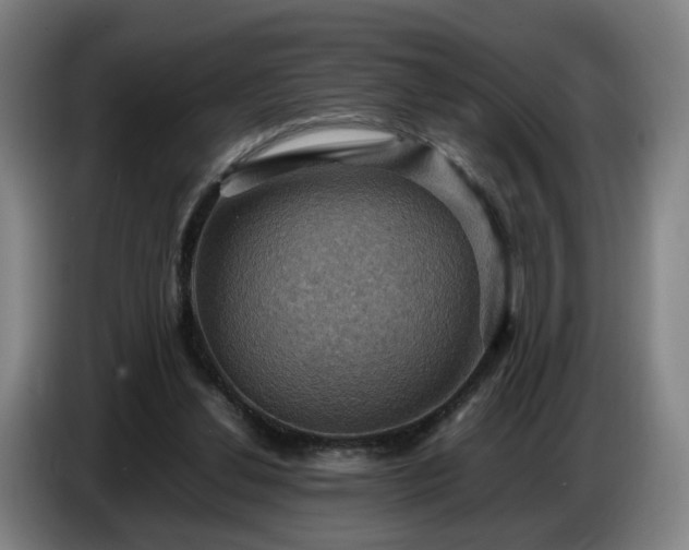 X0000086770252200704201810