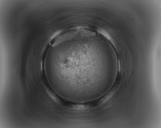 X0000086770253200704201810