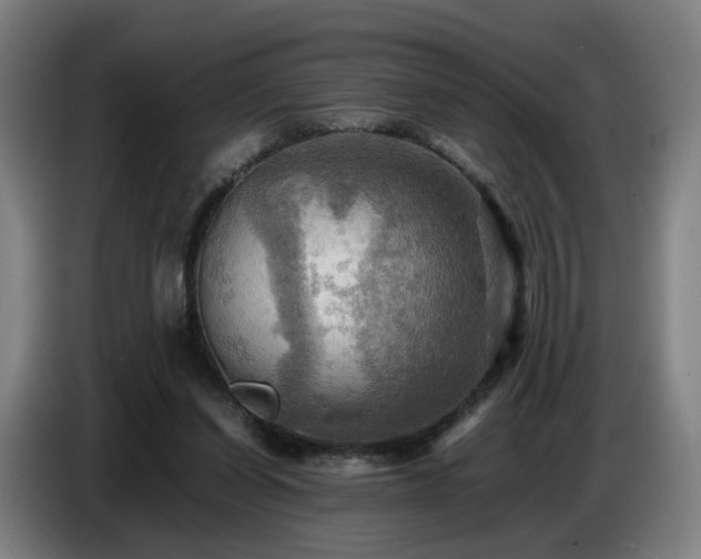 X0000086770254200704201810