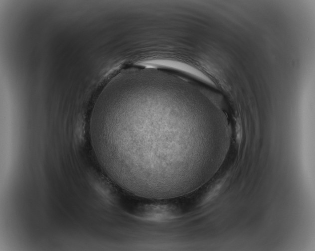 X0000086770255200704201810