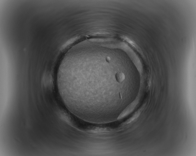 X0000086770256200704201810